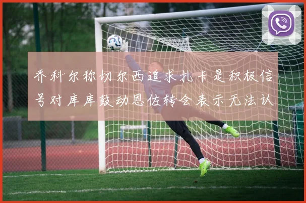 乔科尔称切尔西追求扎卡是积极信号对库库鼓动恩佐转会表示无法认同