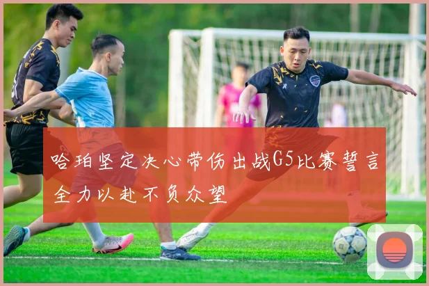 哈珀坚定决心带伤出战G5比赛誓言全力以赴不负众望