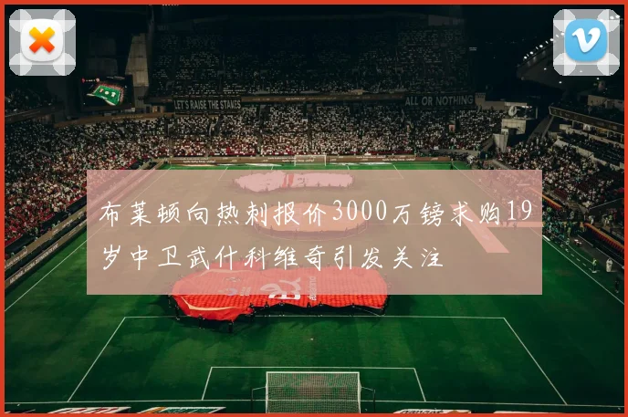 布莱顿向热刺报价3000万镑求购19岁中卫武什科维奇引发关注