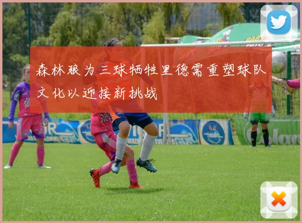 森林狼为三球牺牲里德需重塑球队文化以迎接新挑战